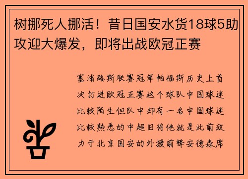 树挪死人挪活！昔日国安水货18球5助攻迎大爆发，即将出战欧冠正赛
